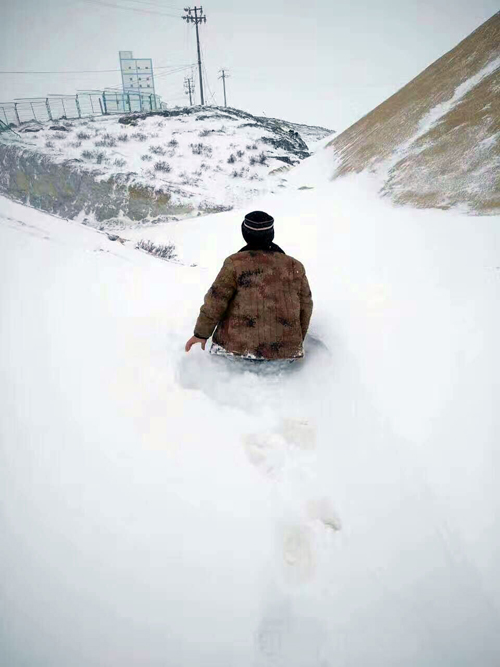 乐鱼官方网站-乐鱼leyu(中国)北方权属企业“战风斗雪”保增长（之二）