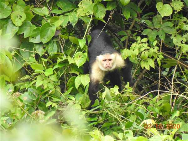 乐鱼官方网站-乐鱼leyu(中国)的“精灵之约”