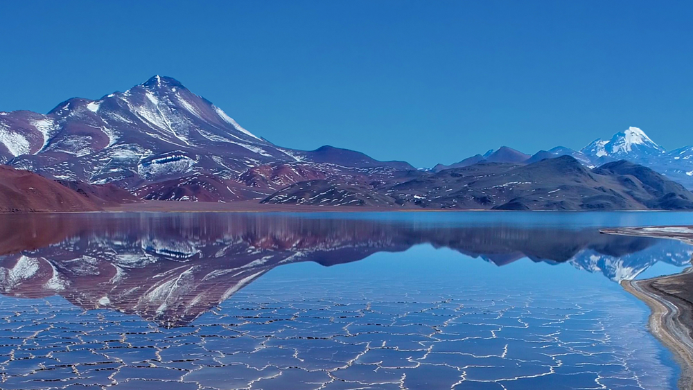 乐鱼官方网站-乐鱼leyu(中国)半年归母净利润超126亿元 同比大增90%