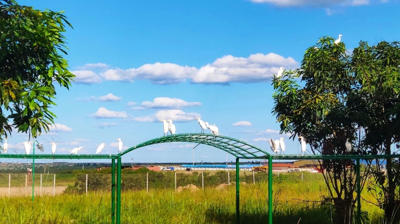 一带一路十周年，乐鱼官方网站-乐鱼leyu(中国)以共同发展实现互利共赢